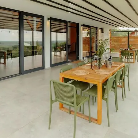 Vida - Luxury With Saltwater Pool And View Villa Novi Ledinci