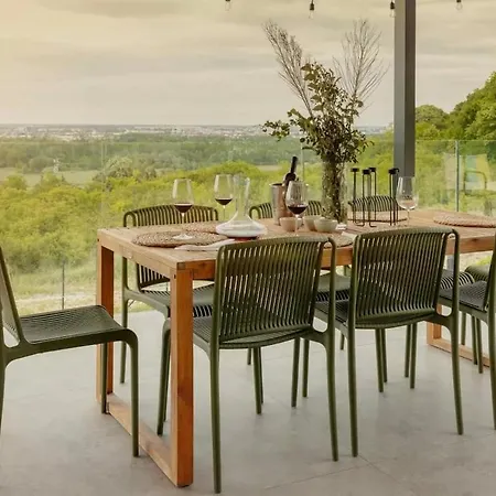 Vida - Luxury With Saltwater Pool And View Villa Novi Ledinci