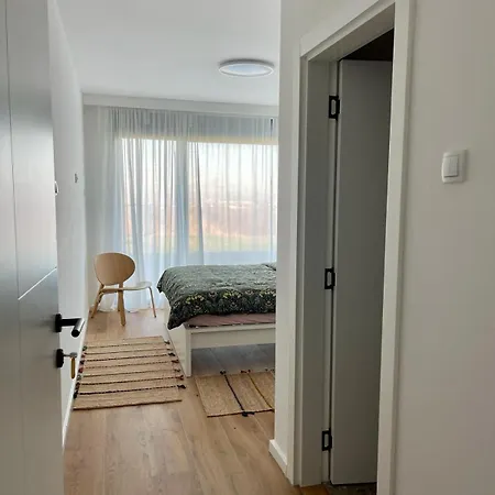 Villa Vida - Luxury With Saltwater Pool And View Novi Ledinci